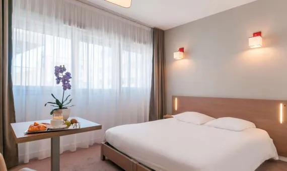 Hotel Annemasse Centre Pays De Geneve 3*