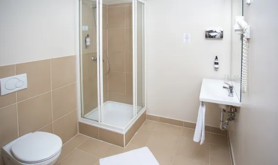 Hotel Erzsebet Kiralyne 3*