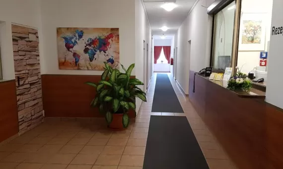 Hotel OEKOTEL Traiskirchen 3* | Bec