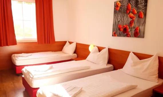 Hotel OEKOTEL Traiskirchen 3* | Bec