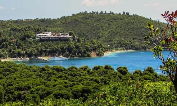 Koukounaries beach na Skijatosu