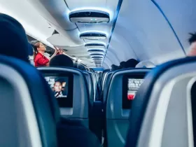Avion stjuardesa